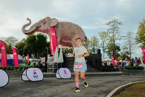 BIB: 
                            <button type="button" onclick="openModal(26529210)" class="btn btn-primary btn-sm float-right btn-popup" data-toggle="modal" data-target=".modal-high-quality">
                        <i class="fas fa-shopping-cart"></i> Add to Cart
                    </button>
                                            <button type="button" onclick="isThisMe(26529210, true)" class="btn btn-success btn-sm float-right btn-popup btn-isme hidden" data-toggle="tooltip" data-placement="bottom" title="นี่คือรูปของคุณใช่ไหม คลิกที่นี่เพื่อเอาเข้าอัลบั้ม">
                        <i class="fas fa-plus"></i> Add to album
                    </button>
                    <button type="button" onclick="isThisMe(26529210, false)" class="btn btn-warning btn-sm float-right btn-popup btn-isnotme hidden">
                        <i class="fas fa-ban"></i> Remove from album
                    </button>